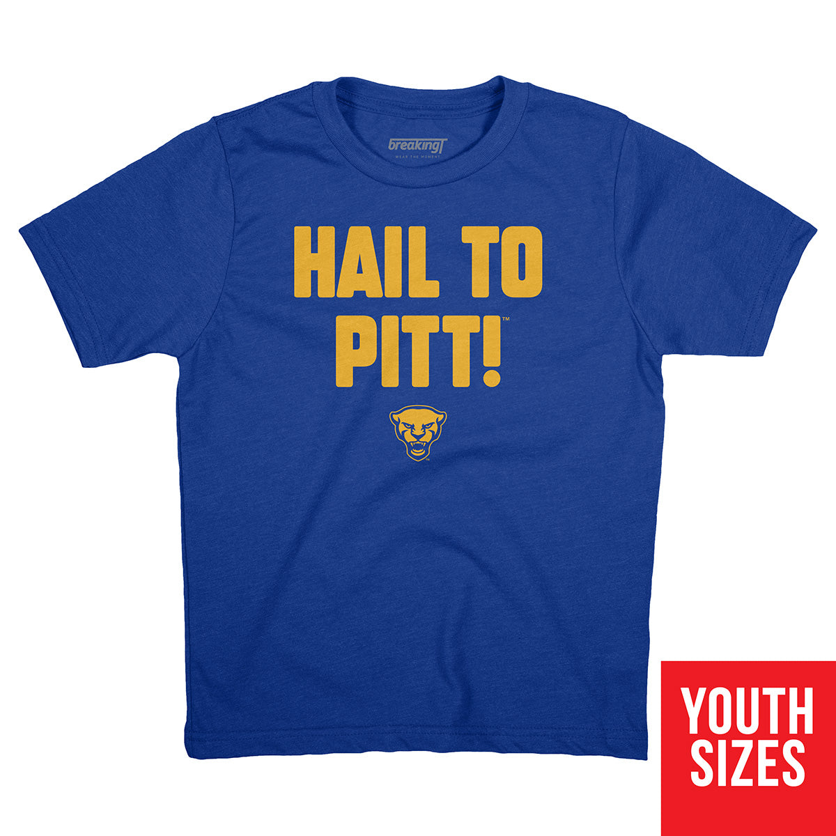 Champion Pitt Panthers Blue H2P Short Sleeve T Shirt