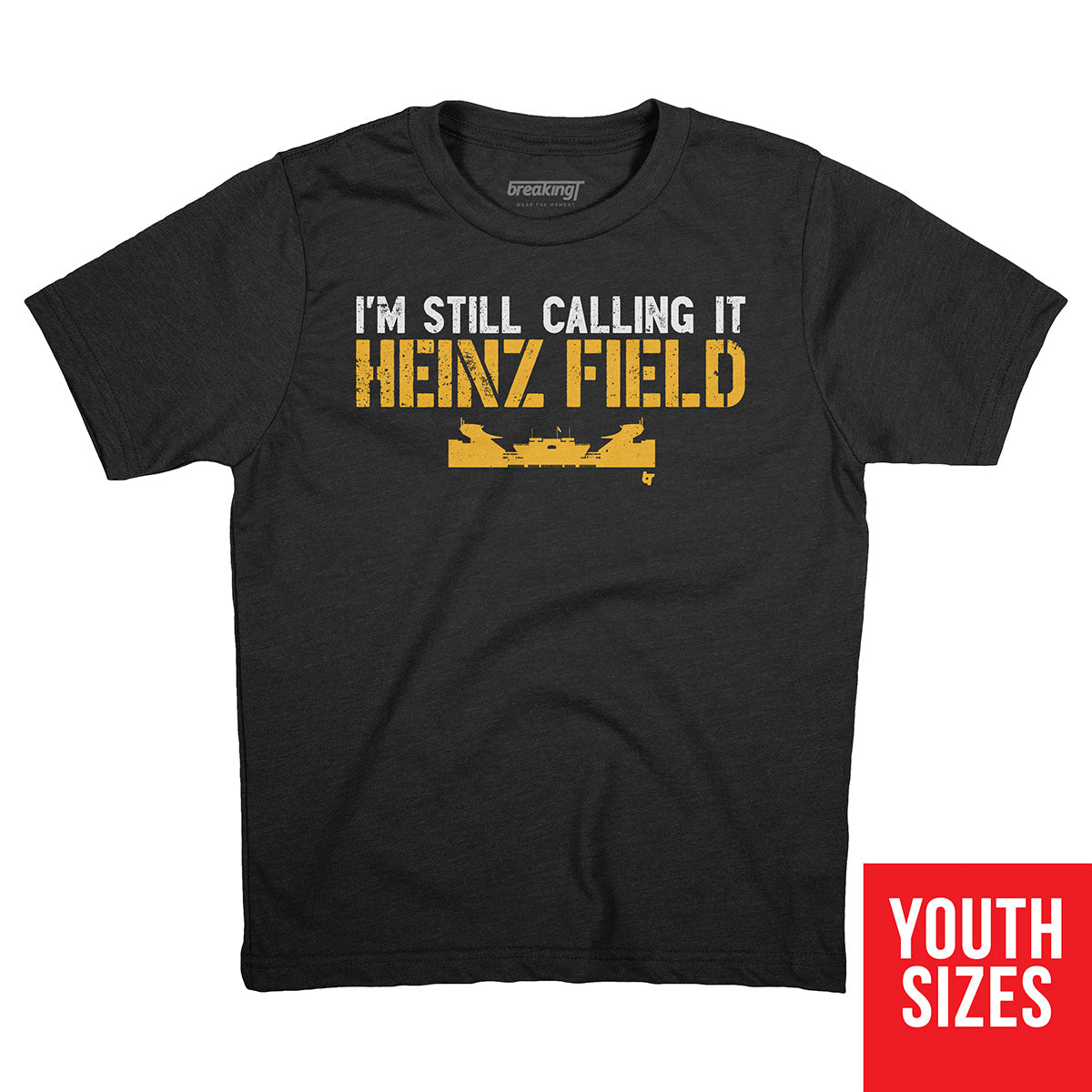 I'm Still Calling Heinz Field- Black & Yellow - 20oz Insulated