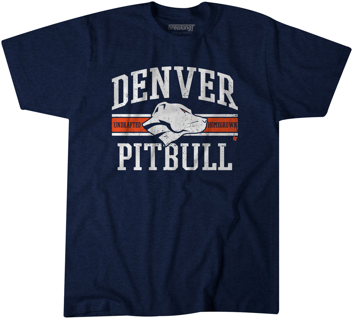 Green Bay Football Pitbull T-Shirt