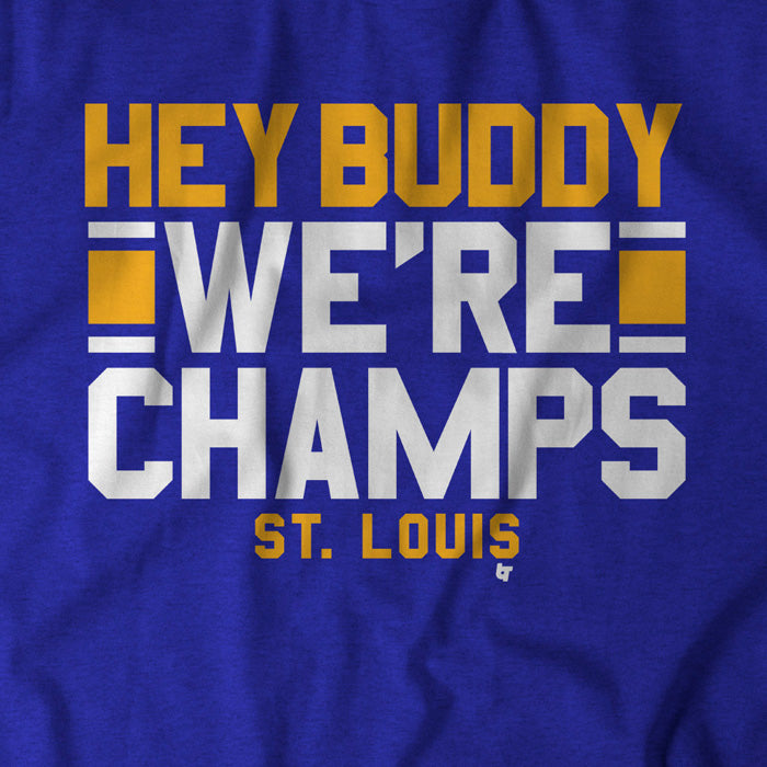 hockey shirt, st louis we went blues cup champions unisex tee