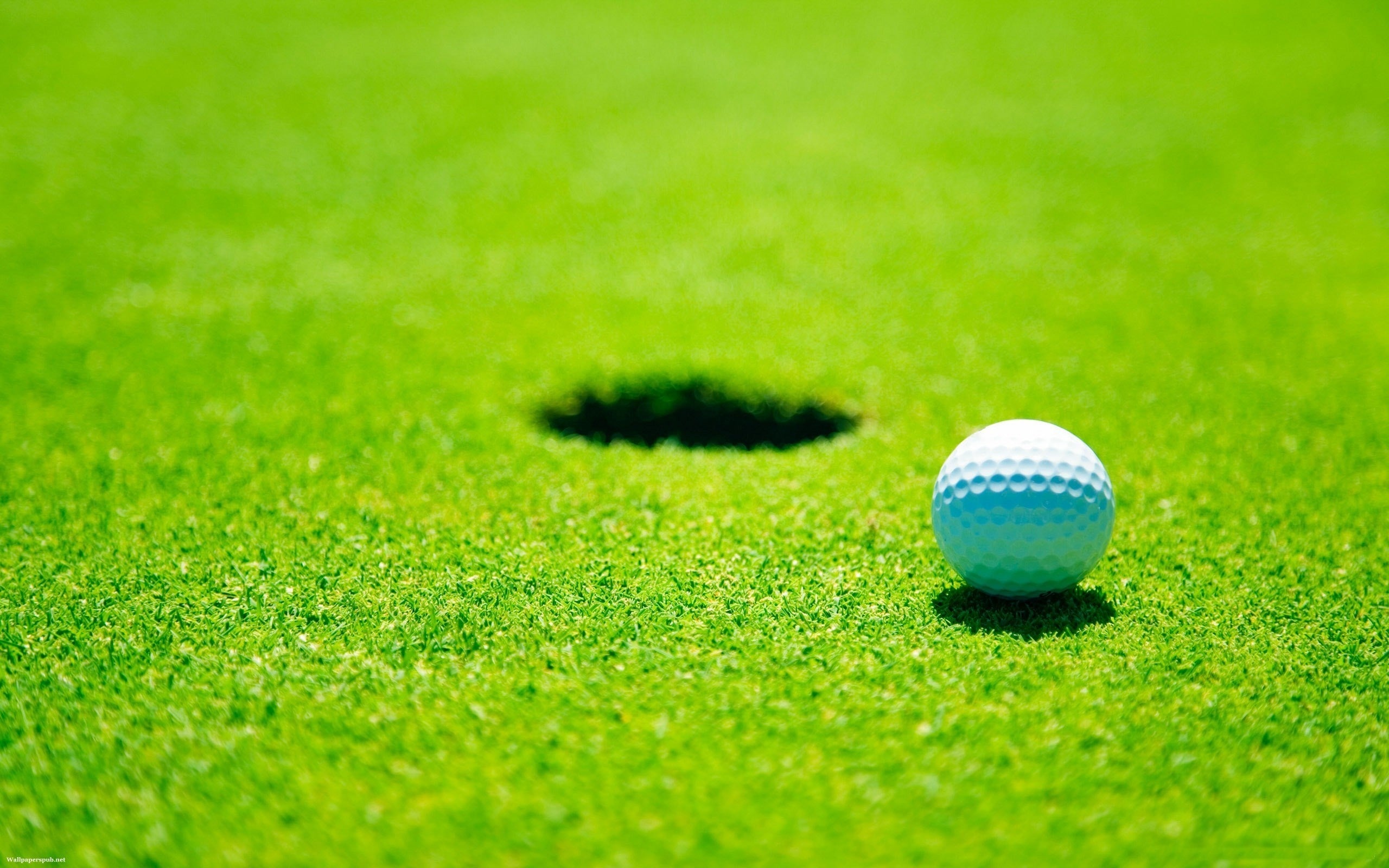 Big Cat & Lefty Golf Collection