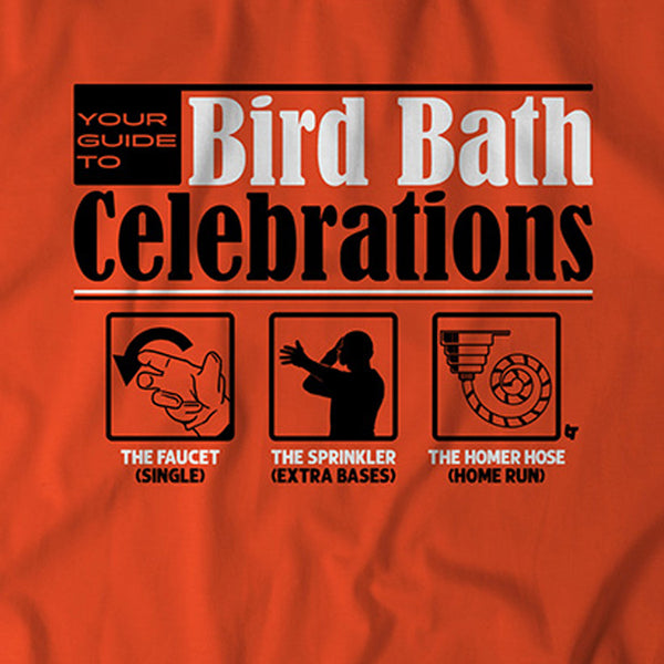 Baltimore Bird Bath