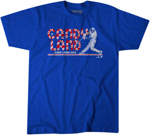 BreakingT Youth Chicago Cubs Dansby Swanson Gray Pose Graphic T-Shirt