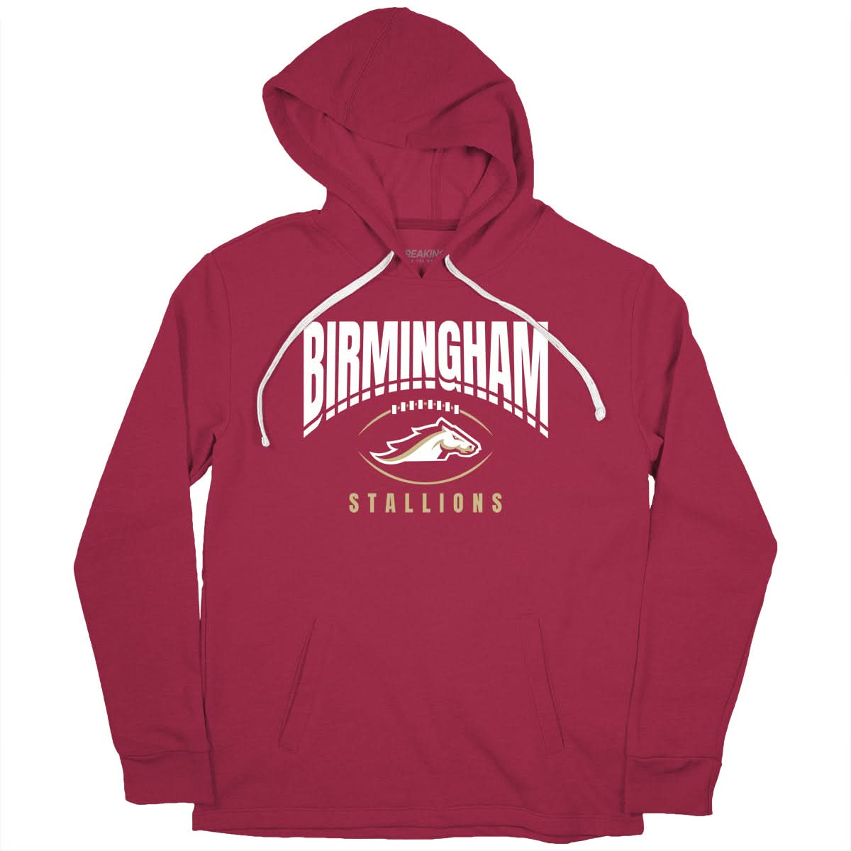 Birmingham Stallions: Football Outline