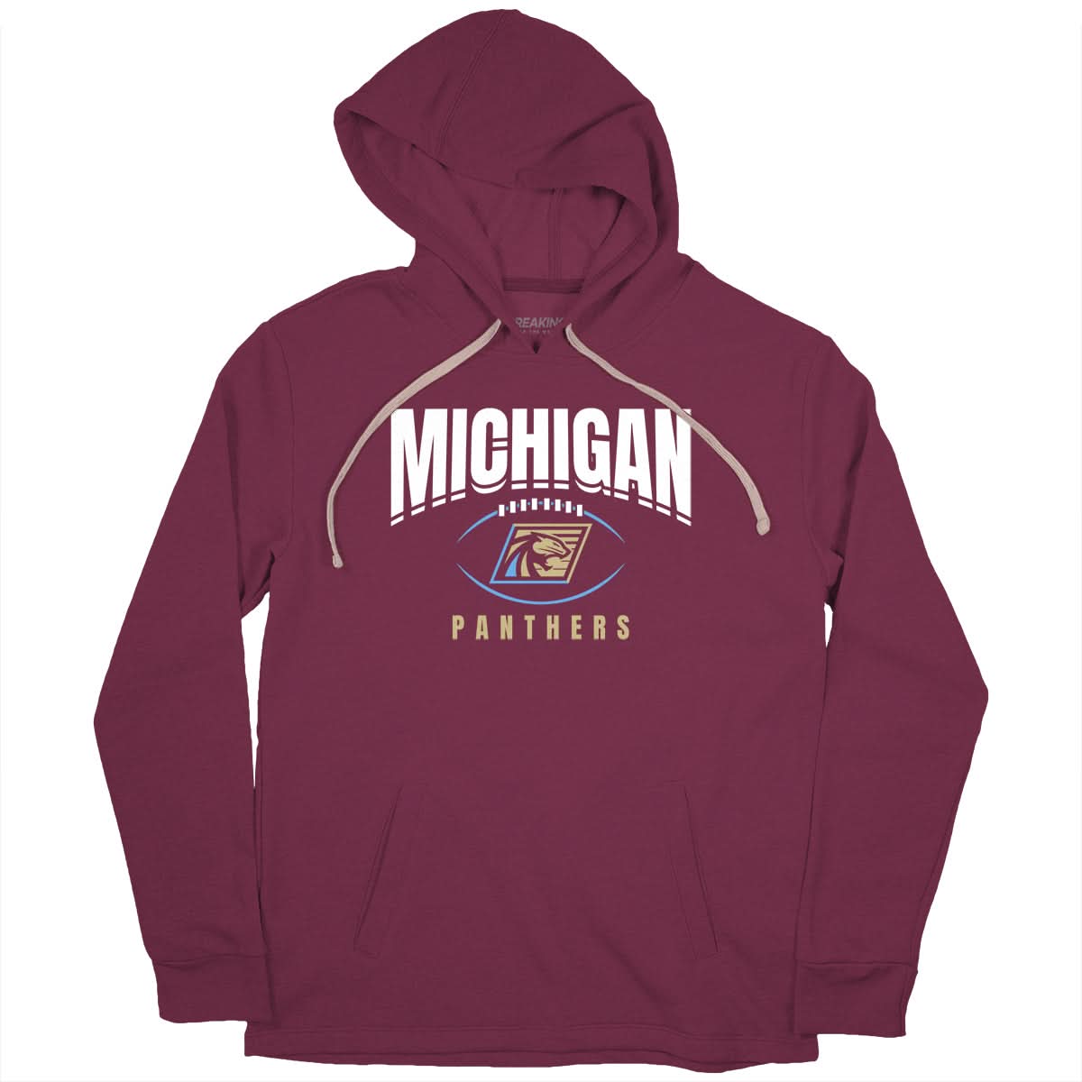 Michigan Panthers: Football Outline