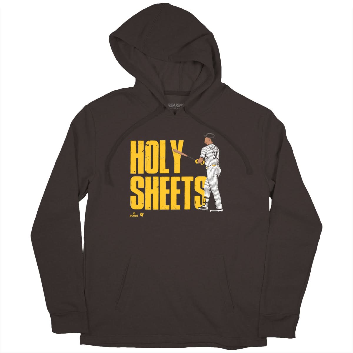 Gavin Sheets: Holy Sheets San Diego