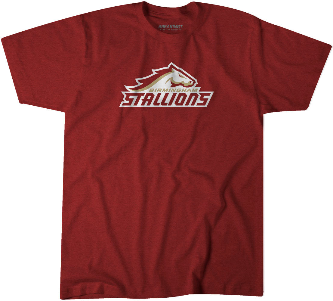 Birmingham Stallions: Lockup Logo