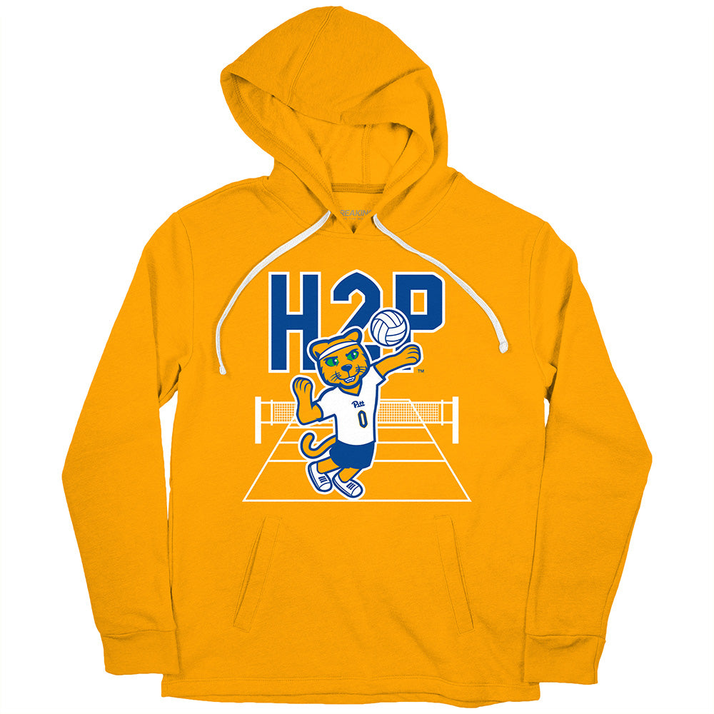 Pitt Volleyball: Roc Logo