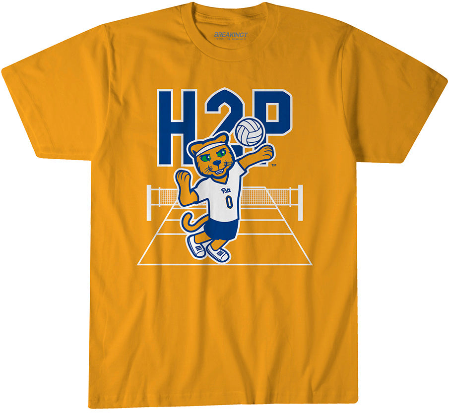 Pitt Volleyball: Roc Logo