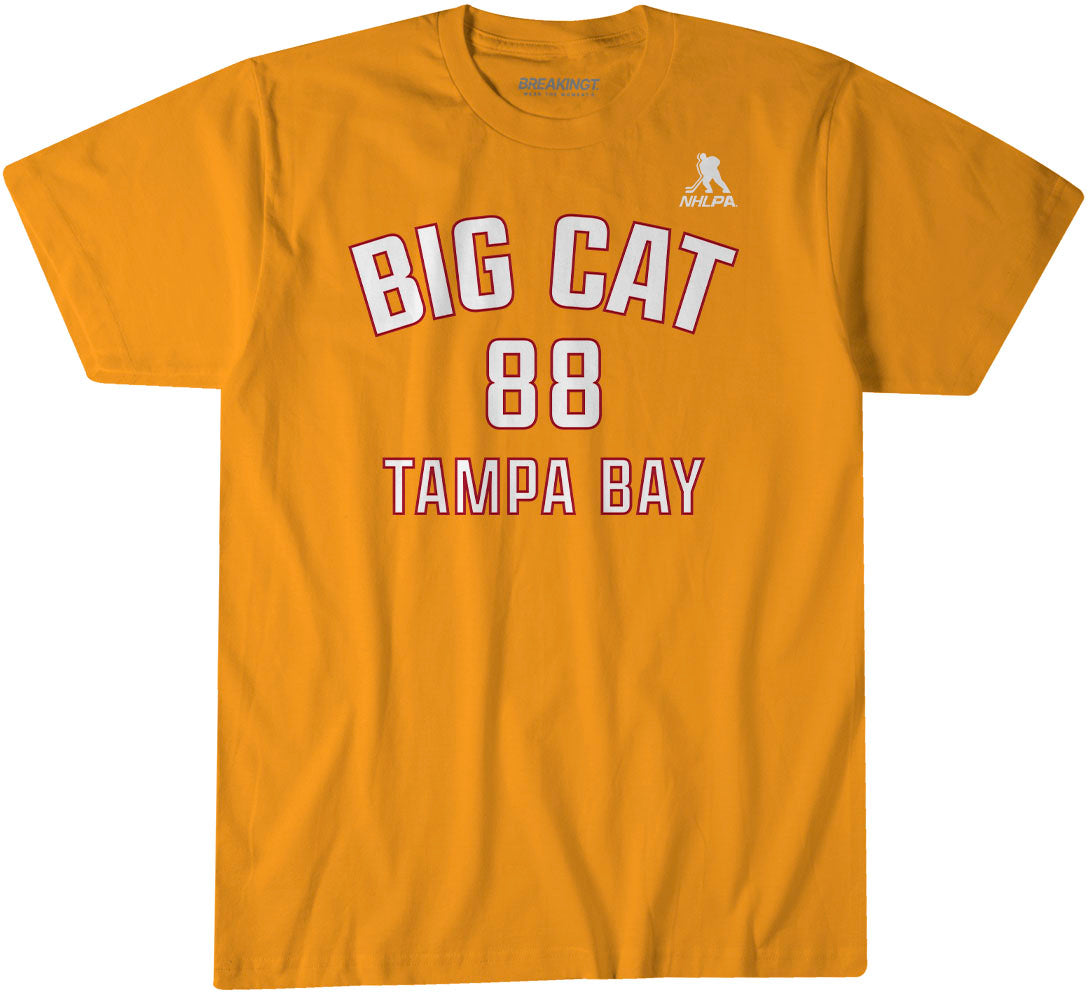 Andrei Vasilevskiy: Big Cat Creamsicle Name & Number