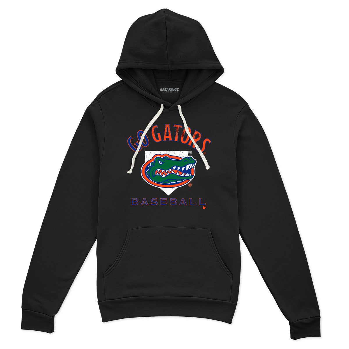 Florida Baseball: Home Plate