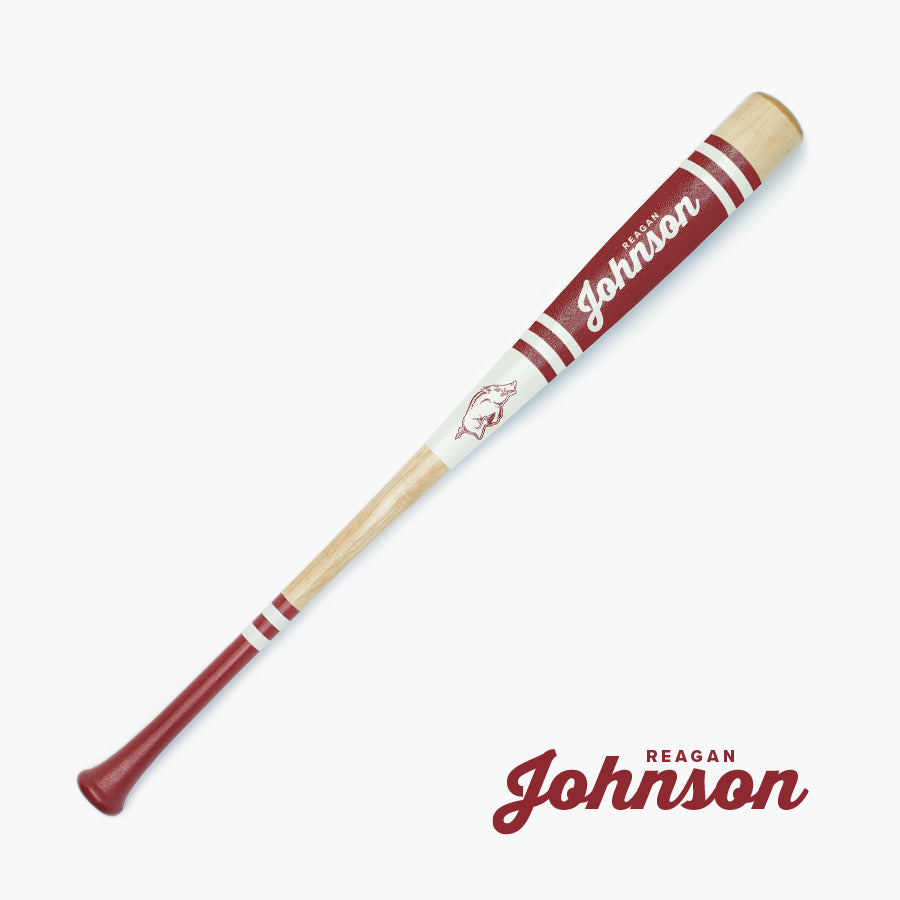 Reagan Johnson University of Arkansas Softball