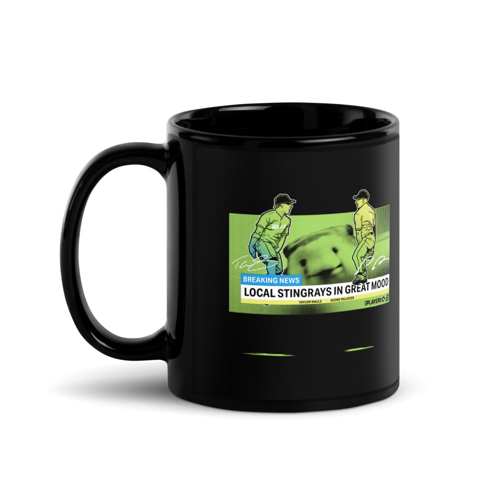 Tampa Bay Baseball: Local Stingrays In Great Mood Mug (11 oz)