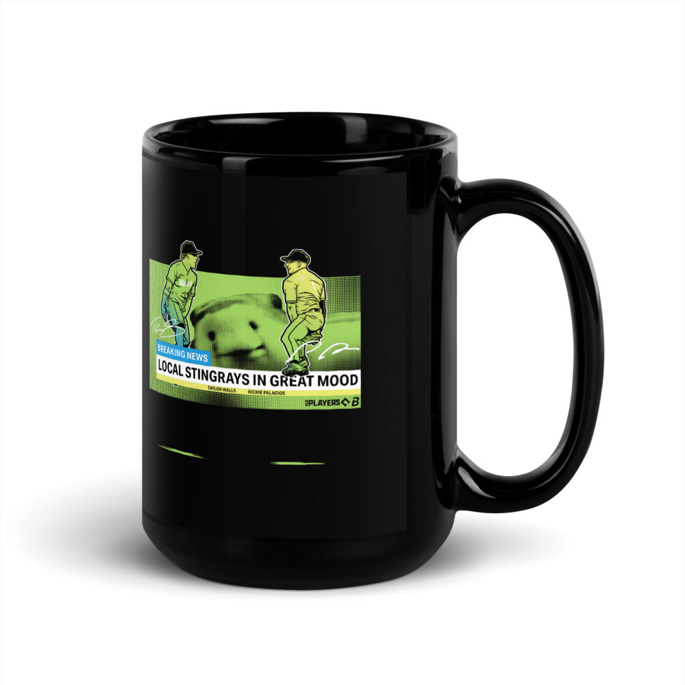 Tampa Bay Baseball: Local Stingrays In Great Mood Mug (15 oz)