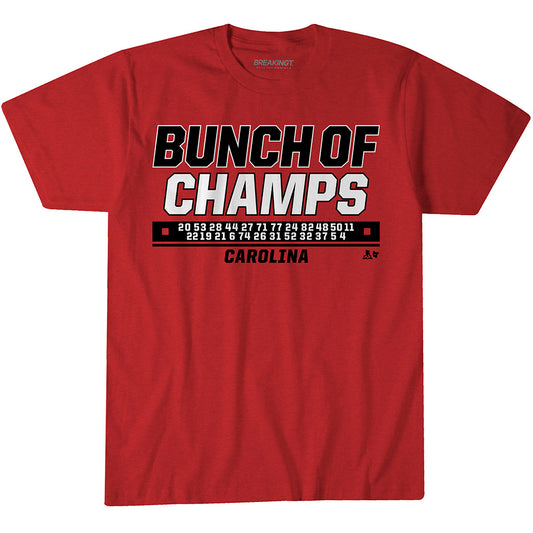 2622564 - Carolina Hockey: Bunch of Champs