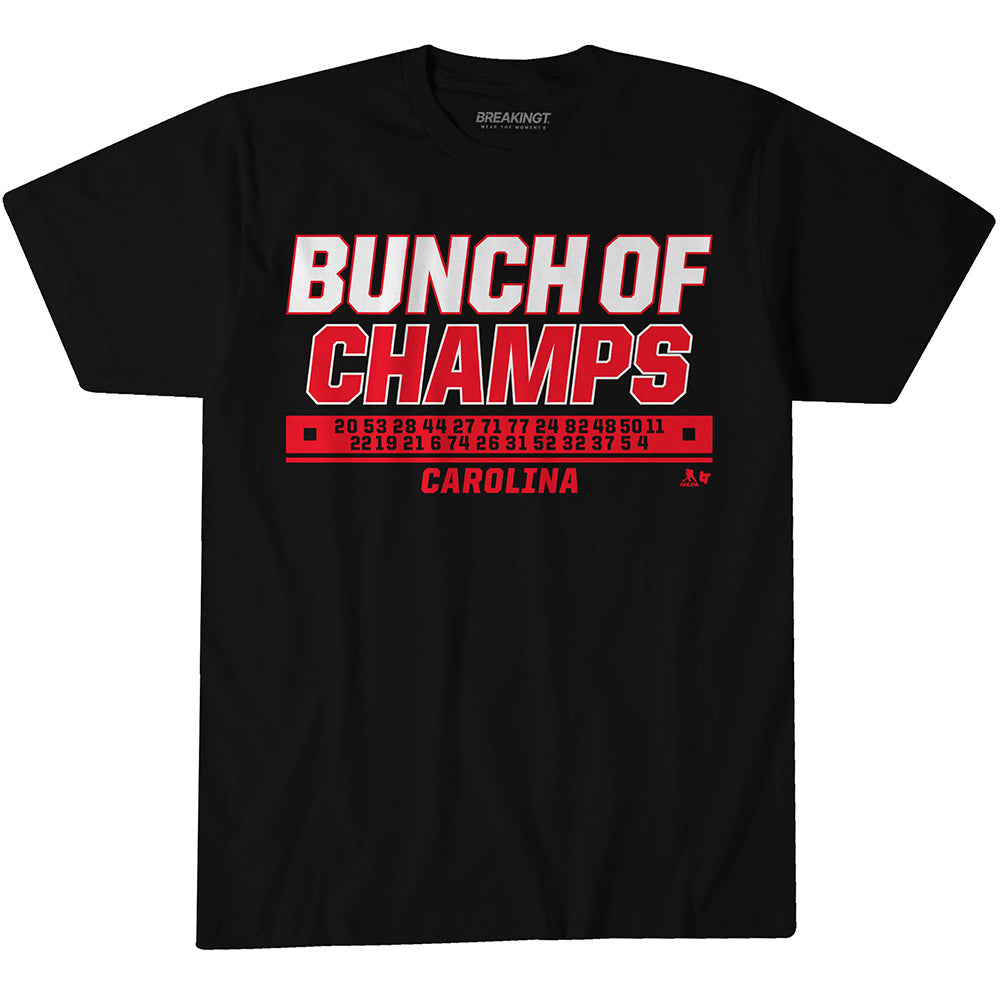 2622564 - Carolina Hockey: Bunch of Champs