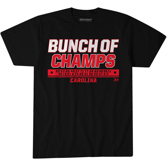 2622564 - Carolina Hockey: Bunch of Champs