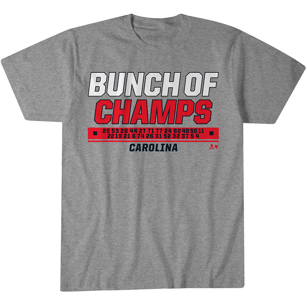 2622564 - Carolina Hockey: Bunch of Champs