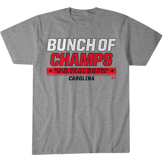 2622564 - Carolina Hockey: Bunch of Champs