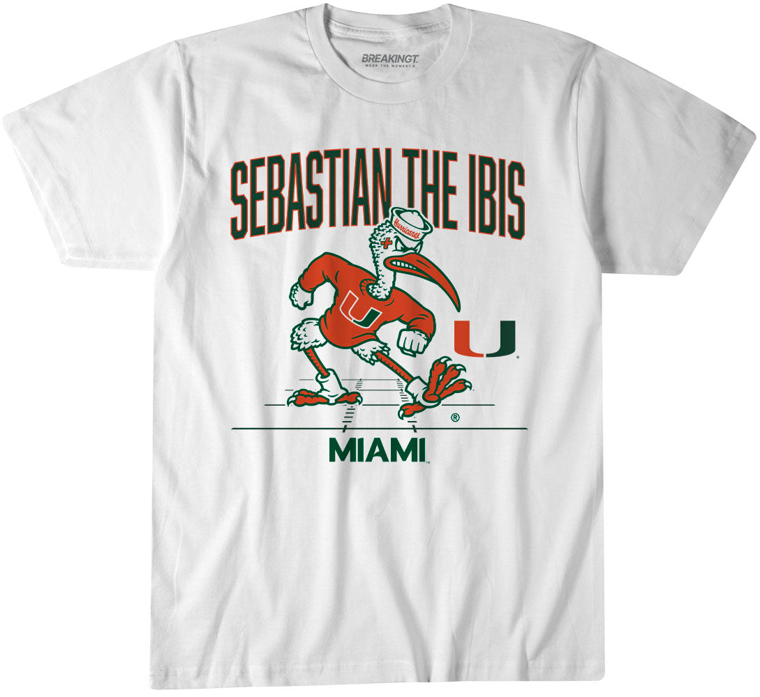 2620902 - Miami Football: Gridiron Mascot