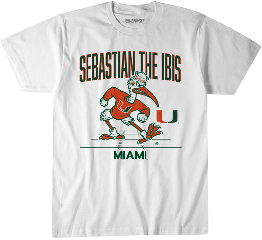 2620902 - Miami Football: Gridiron Mascot