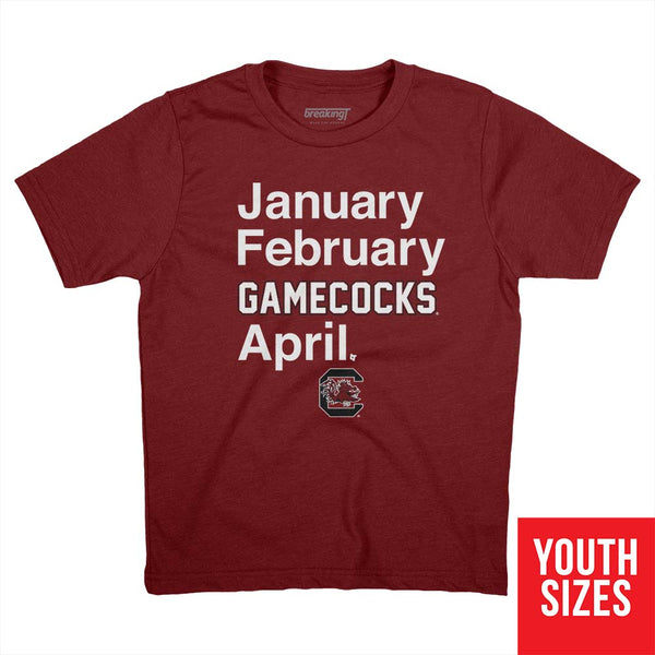 South Carolina Basketball: January February Gamecocks April