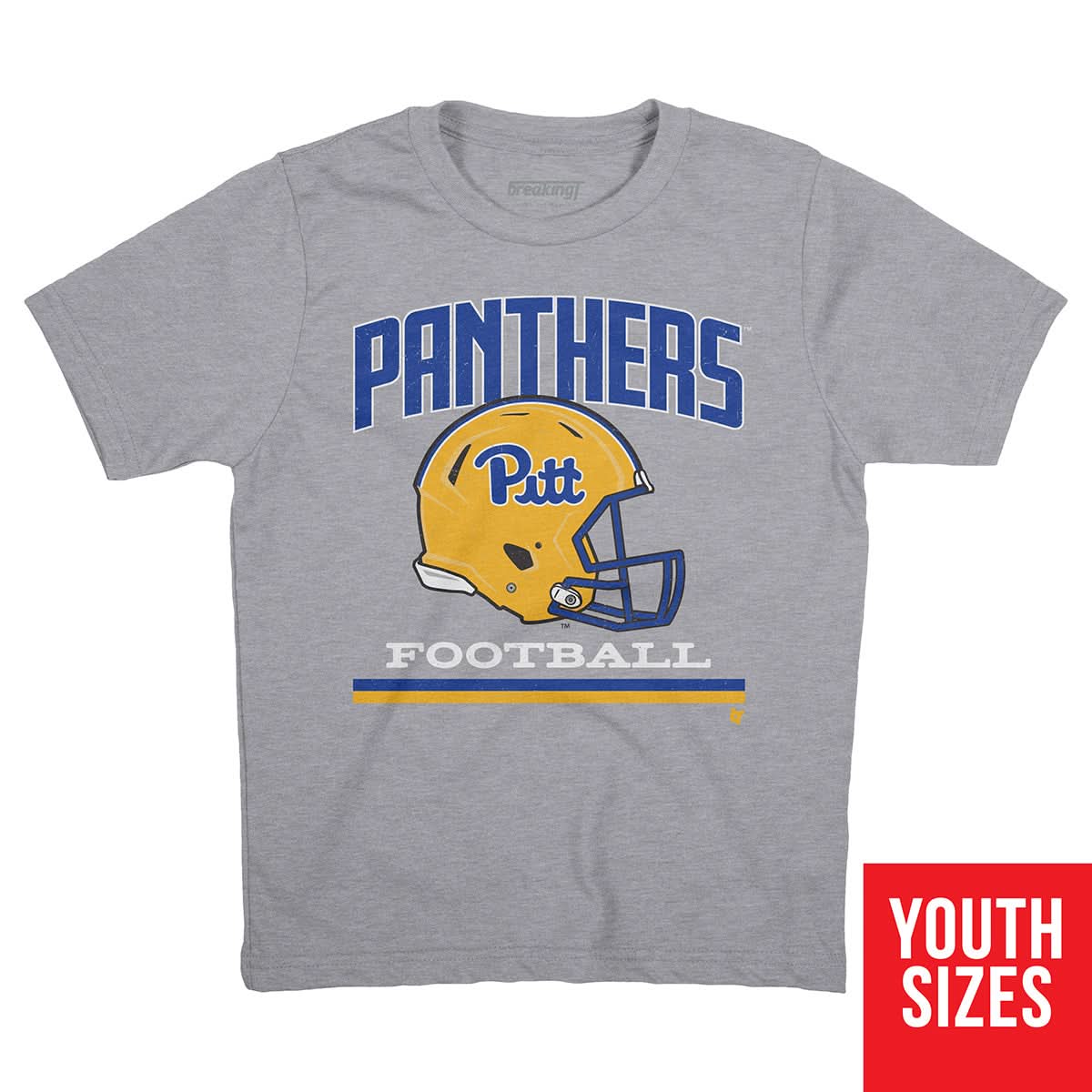 Pittsburgh: Vintage Football Helmet