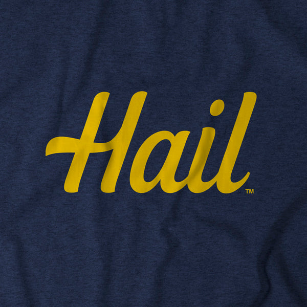 Michigan: Hail