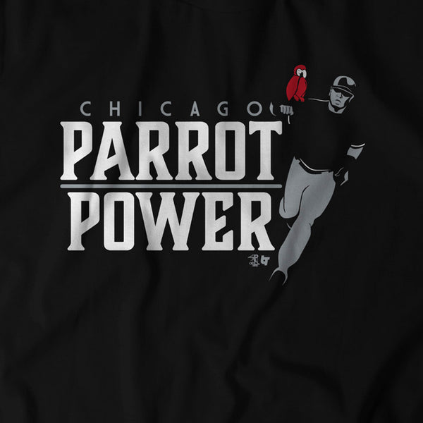 Chicago Parrot Power