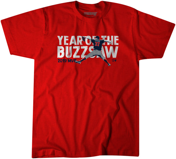 Year of the Buzz Saw