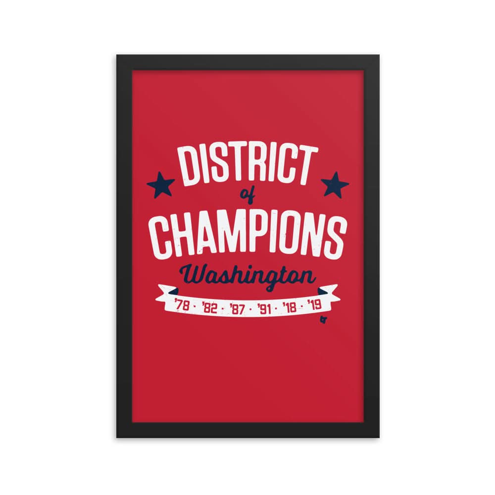 District Of Champions Framed Print