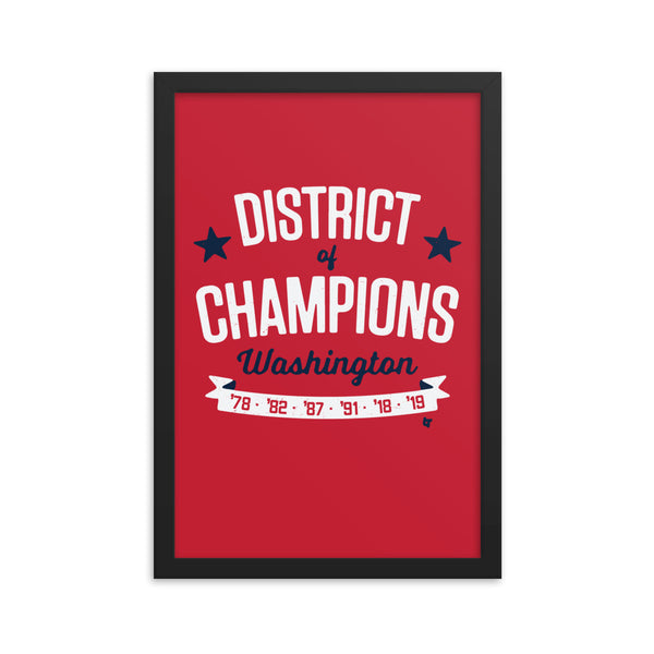 District Of Champions Framed Print